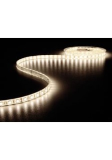 12V 4000K - 300 LED - 5m - 12V IP68