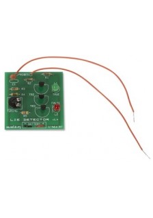 DÉTECTEUR DE MENSONGES - MADLAB ELECTRONIC KIT