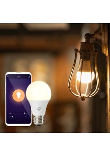 AMPOULE À LED SMARTLIFE BLANC CHAUD/BLANC FROID