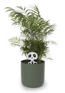 PANDA TESTEUR D'HUMIDITÉ - WSAK201