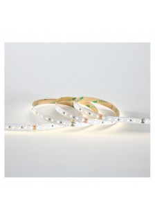 RUBAN LED 4000K 12V - 9W/m - 60 LED/m - IP20 - 5m