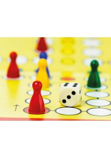 DÉ ÉLECTRONIQUE - WSG113