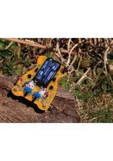 KIT ÉDUCATIF - MICROBUG COUREUR WSAK127