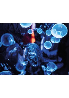 STROBOSCOPE AVEC 2 LEDS BLANCHES - WSL147