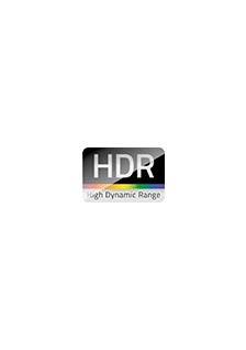 CORDON HDMI MÂLE / HDMI MINI - 2m