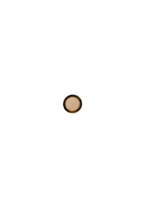 DISQUE PIEZO Ø 50mm 22VDC