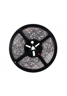 RUBAN LED BLANC FROID - 12V - 300 LED - 5m