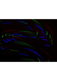 GANTS LUMINEUX À LED