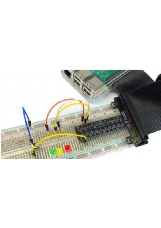 DERIVATION GPIO POUR RASPBERRY PI