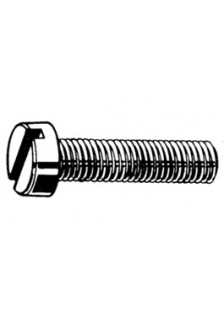 10 VIS MÉTAL À FENTE 3 x 5 mm