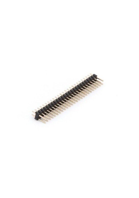 BARRETTE MÂLE DOUBLE RANGÉE - 50 BROCHES