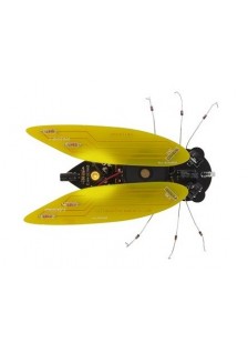 CIGALE ÉLECTRONIQUE