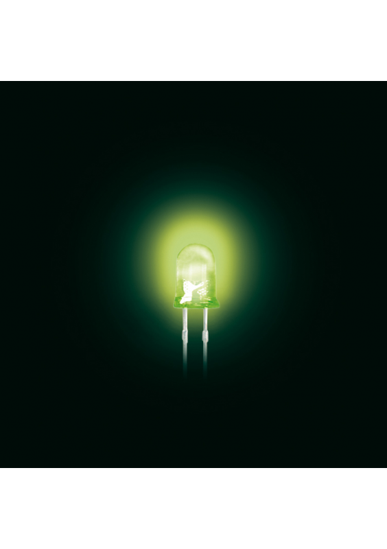 DIODES LED 5mm VERTES (100)