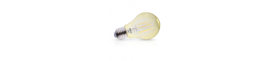 AMPOULES LED